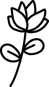Vector